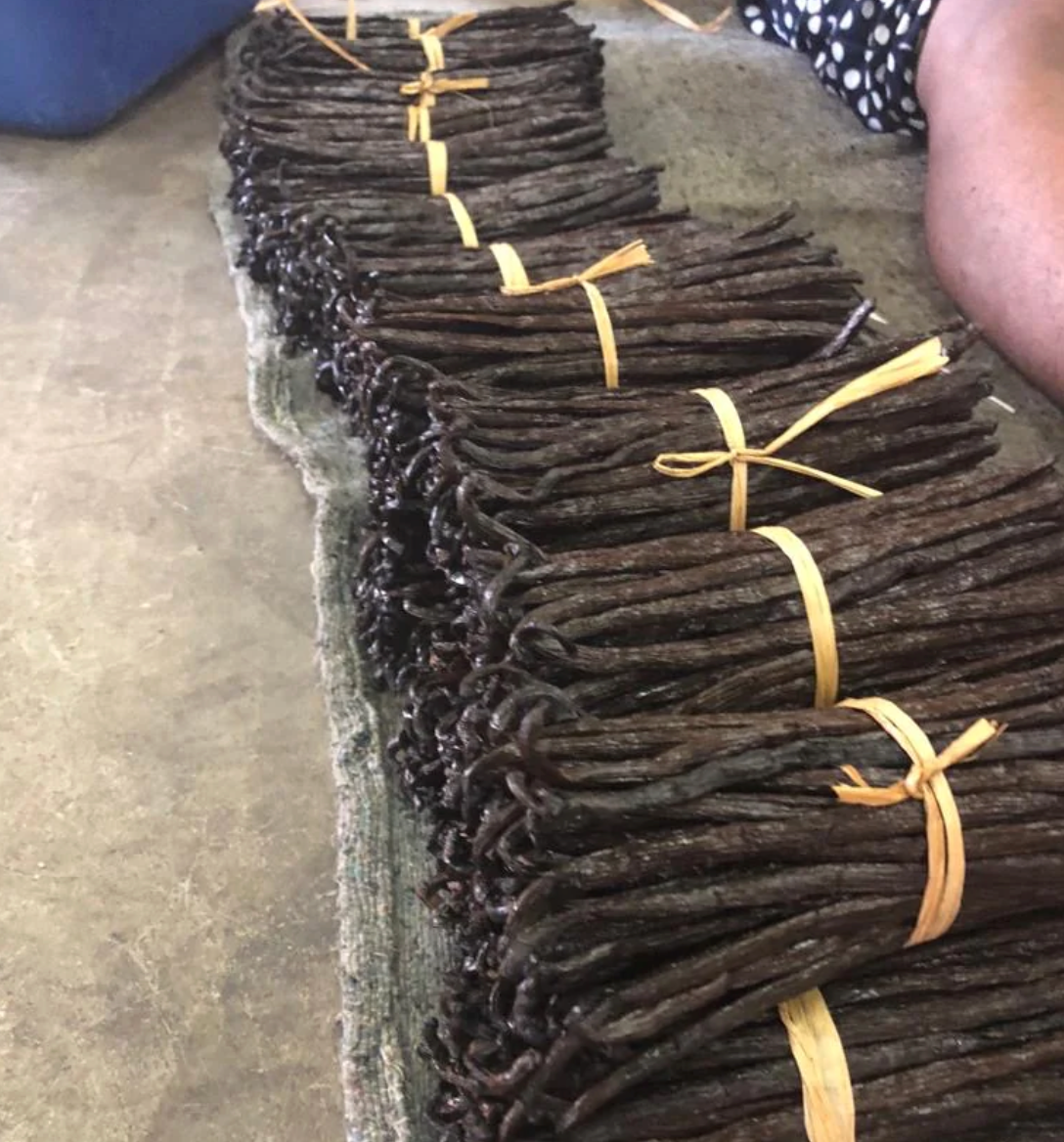 Madagascar Grade A Bourbon Vanilla Beans | Organic Select (With Our Own Farm Tattoos & Top-Rated Taste)