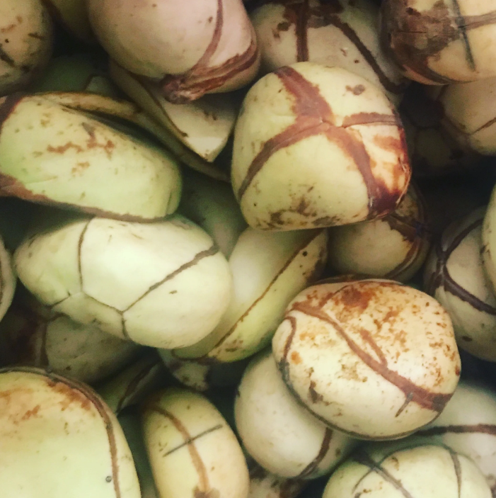 White Kola Nut