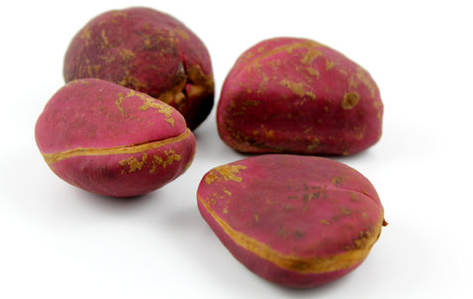 Red Kola Nut