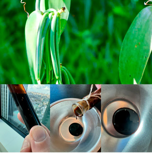 Madagascar Vanilla Awesome Absolute - Ultra-dense Absolute Liquid for Cosmetic