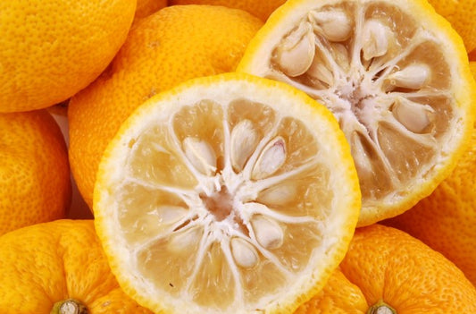 柚子フレッシュフルーツ