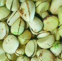 Green Kola Nut