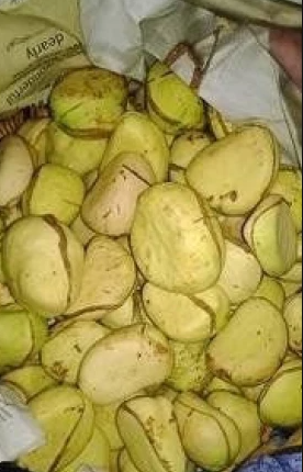 Green Kola Extract