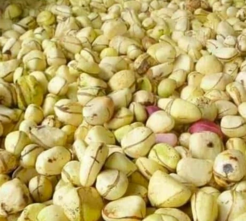 Kola Premium Select Nuts