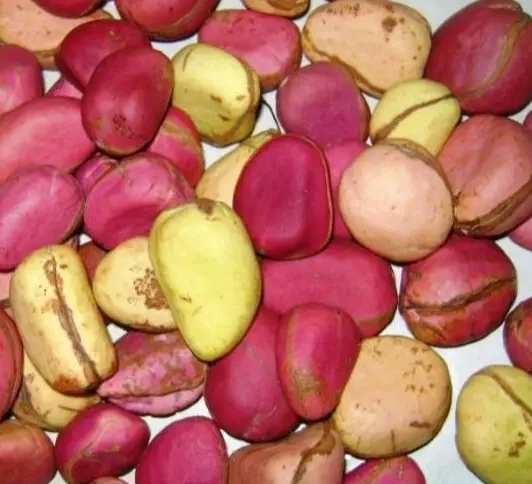 Kola Premium Select Nuts