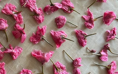 細かく刻んだ桜