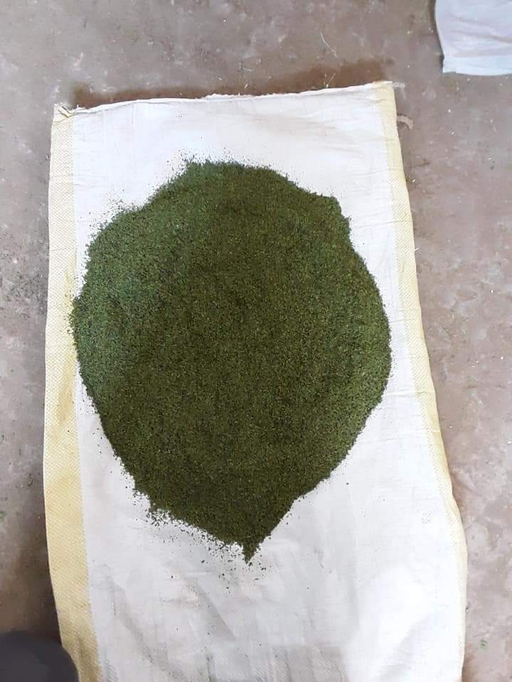 100% Pure Mentha Spicata (Spearmint) Leaves – Ground